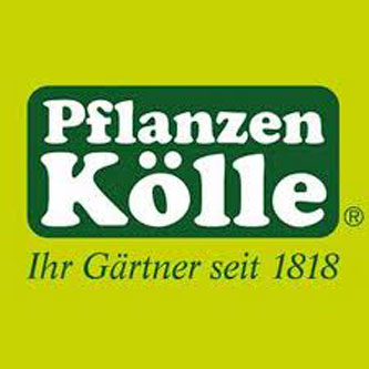 Pflanzen Kölle